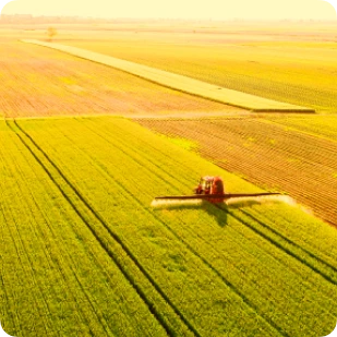 Десикация: когда и зачем необходимо искусственно подсушивать посевы