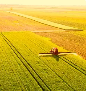 Десикация: когда и зачем необходимо искусственно подсушивать посевы