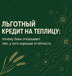 Льготный кредит на теплицу: почему банк отказывает тем, у кого хорошая отчётность