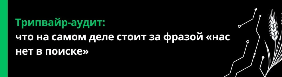 Трипвайр-аудит: что на самом деле стоит за фразой «нас нет в поиске»
