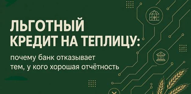 Льготный кредит на теплицу: почему банк отказывает тем, у кого хорошая отчётность