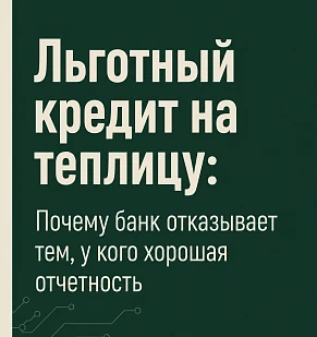Льготный кредит на теплицу: почему банк отказывает тем, у кого хорошая отчётность