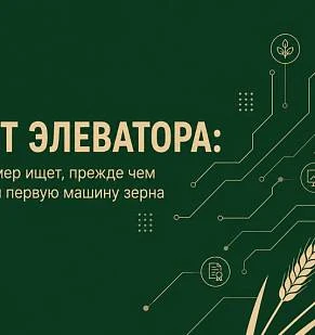 Сайт элеватора: что фермер ищет, прежде чем привезти первую машину зерна