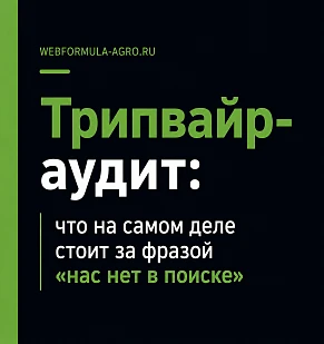 Трипвайр-аудит: что на самом деле стоит за фразой «нас нет в поиске»