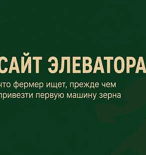 Сайт элеватора: что фермер ищет, прежде чем привезти первую машину зерна