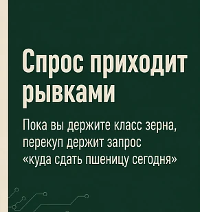 Пока вы держите класс зерна, перекуп держит запрос «куда сдать пшеницу сегодня»